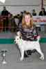 gal/Expo janvier 2010/_thb_MUSCRON--2010-287.jpg